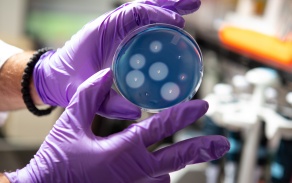 A petri dish in a research lab. 