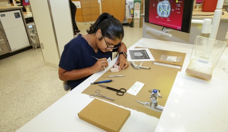 Student working on a hands-on-activity. 