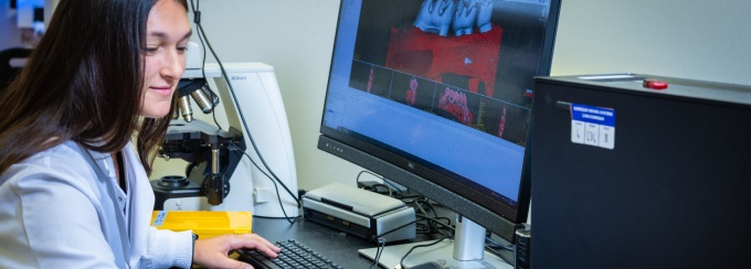 A person works with a computer on a dental image in the lab of Keith Kirkwood, with the School of Dental Medicine, photographed in a research lab space in the Biomedical Research Building in October 2024.