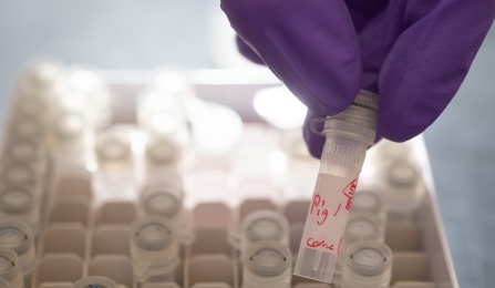 A gloved hand removing a test tube from a box.