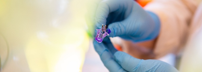 A researcher's gloved hands holding lab materials. 