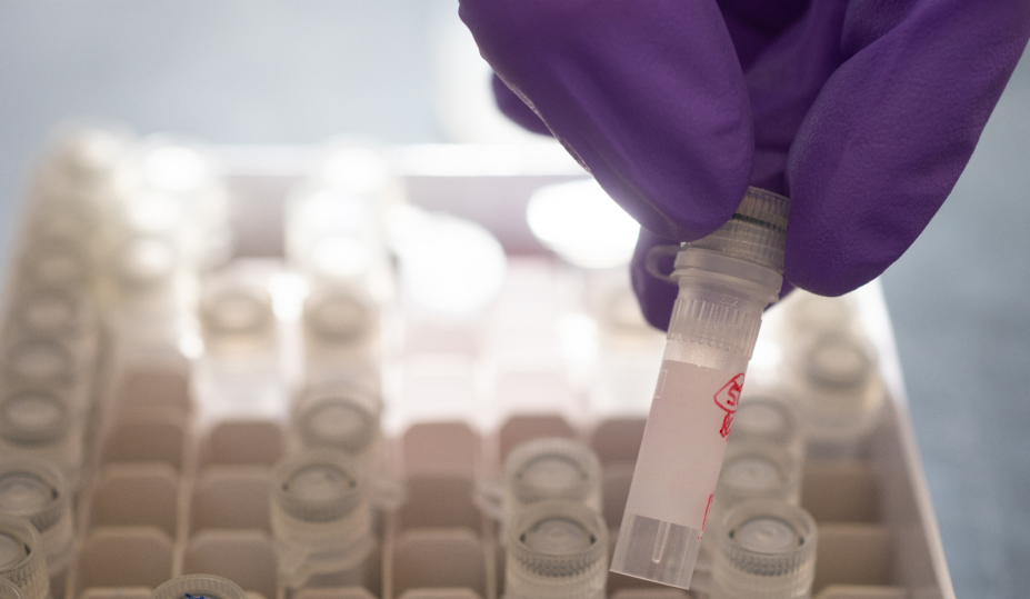A gloved hand removing a test tube from a tray. 