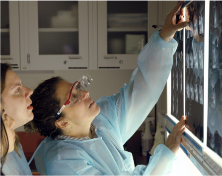 Three dental students examining at x-rays. 