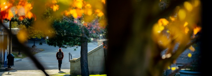 A student walking along the quad with yellow foliage in the foreground. 