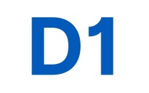 * D1 image. 