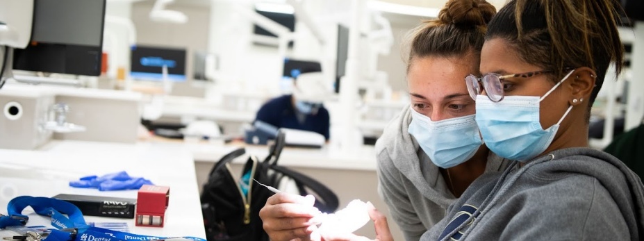 Two UB SDM students working in the pre-clinic. 