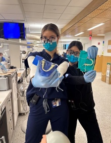 dental student in the preclinic simulation lab with teeth. 