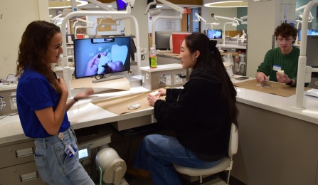 dental student working on a benchtop in the preclinic simulation lab. 