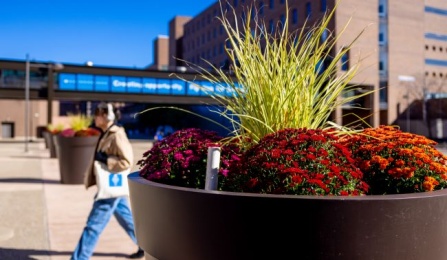 plants in front of academic building. 