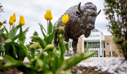 statue of UB Bull with flowers and building in background. 