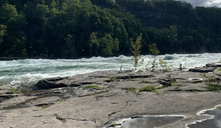 * An image near the water at Devil's Hole State Park.