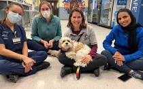student holding a therapy puppy. 