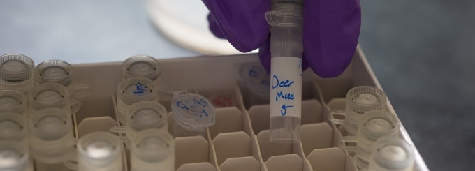 researcher working in a lab. 
