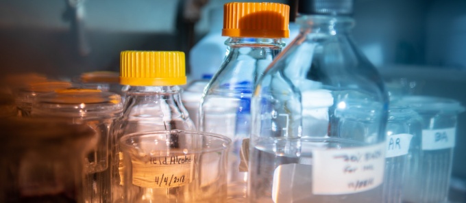 researcher working at UB. 