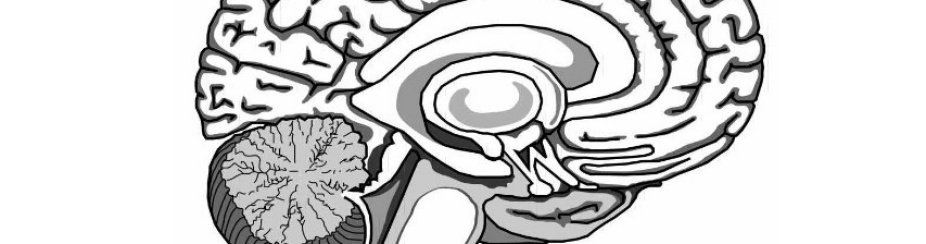 Event poster showing a black-and-white illustration of the brain. 