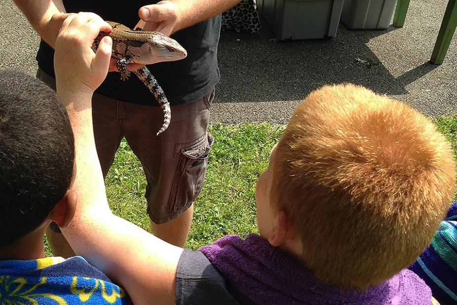 A camper pets a reptile.