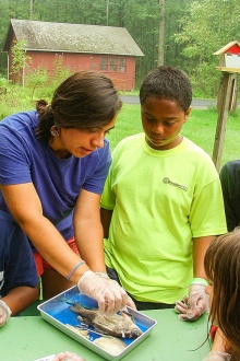 Zoom image: A camper (right) looks on during a fish dissection activity led by Cradle Beach science camp counselor Intefada Wardia (left). Credit: Cradle Beach 