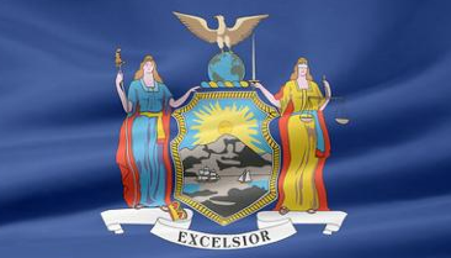 New York state flag.