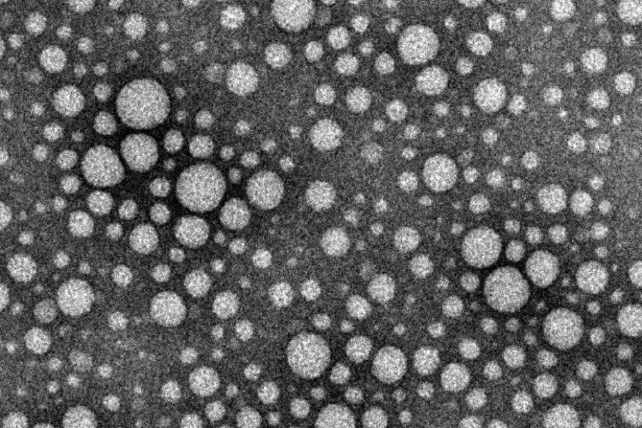 Drug particles in suspension. 