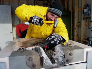 Zoom image: Andrew Harp, a UB geology PhD student, helps clean out the furnace. Credit: Charlotte Hsu 
