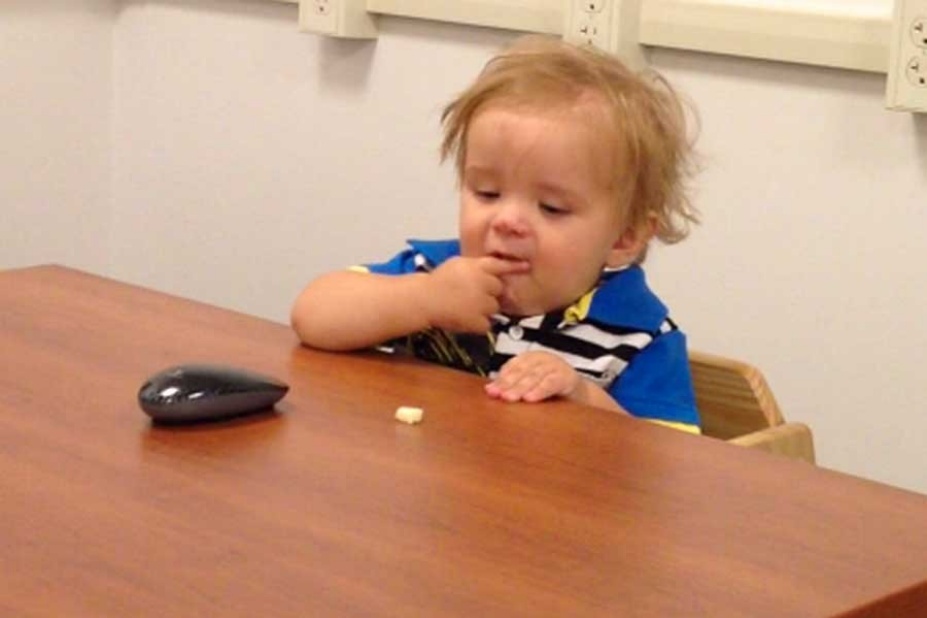 A young boy eating a snack.