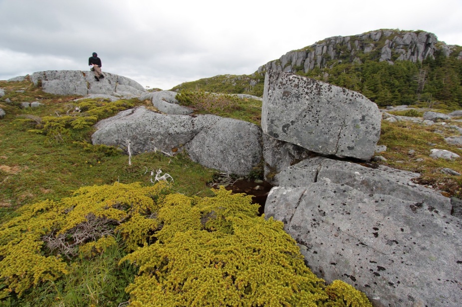 A researcher perched atop a rock, with a lush but rocky landscape in the foreground. 