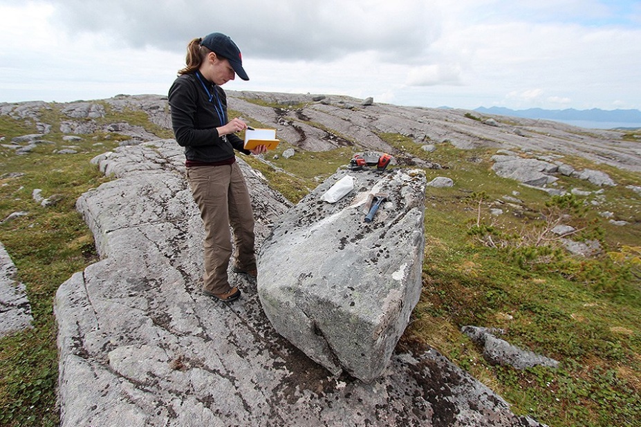 Alia Lesnek surveys rocks in Alaska.