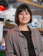 Laura Feltri standing in her lab. 