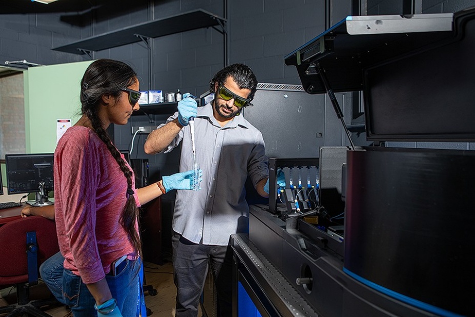 Zoom image: UB physics PhD students Taranpreet Kaur (left) and Ibraheem Alshareedah prepare a microfluidic flow chamber for experiments. Microfluidics allow rapid manipulation of protein droplets under optical traps &mdash; a technique used to conduct the new study. Credit: Douglas Levere / University at Buffalo 
