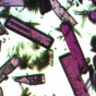 Purple crystals seen through a microscope. 