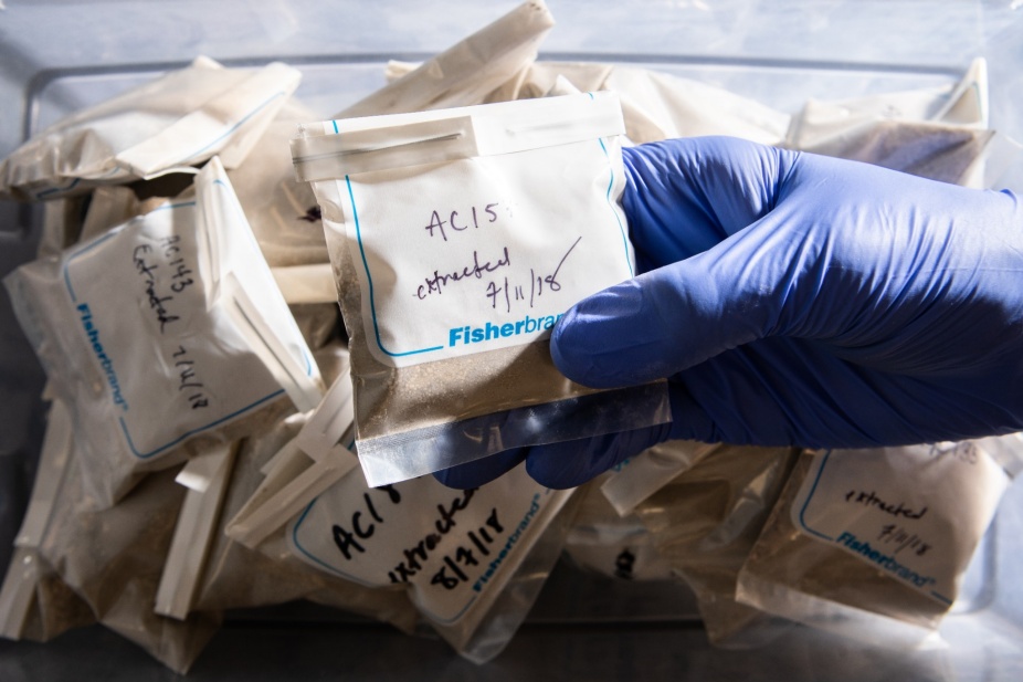 Zoom image: Bags containing ocean-bottom sediments after materials such as leaf wax chemicals have been extracted. Credit: Douglas Levere / University at Buffalo. Download additional photos. 