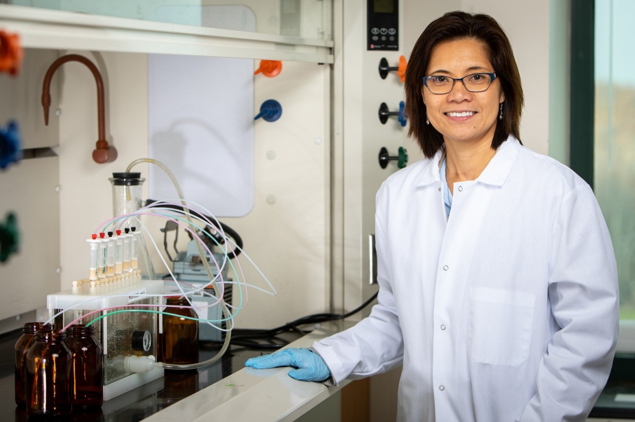 Zoom image: Diana Aga, the Henry M. Woodburn Professor of Chemistry at the University at Buffalo. Credit: Meredith Forrest Kulwicki 