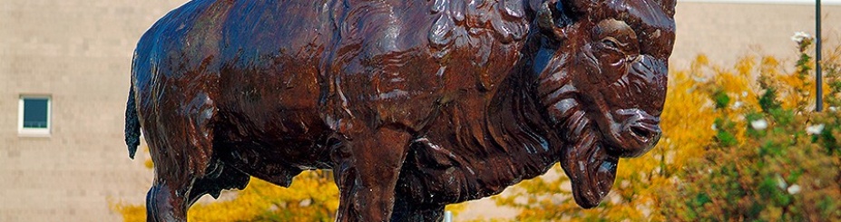 Bronze bison statue on North Campus. 