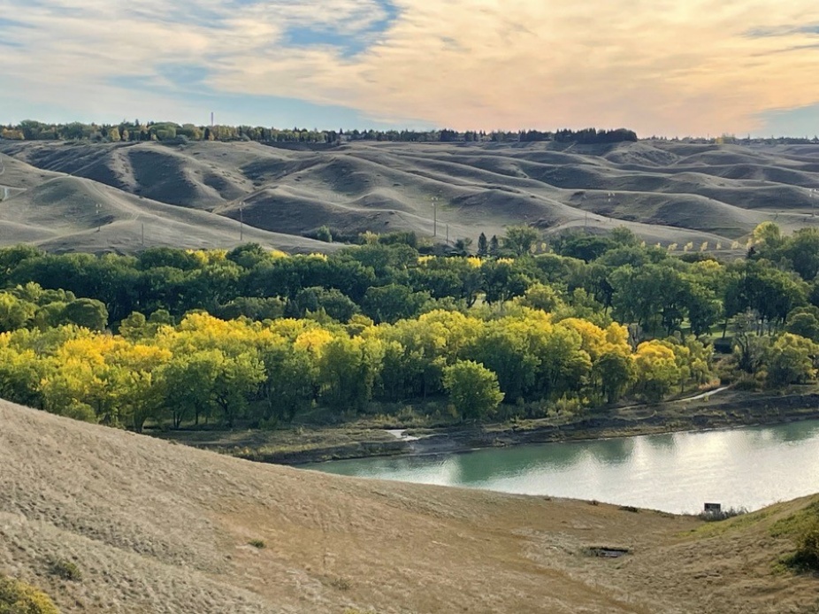 Zoom image: A cottonwood forest adjacent to the Oldman River in Lethbridge in Alberta, Canada. In a 2021 study, researchers present new techniques for modeling the impact of climate change on riparian forests of this kind, focusing on a nearby region of this forest. Credit: Lawrence B. Flanagan 