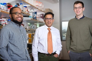 Zoom image: Left to right: Rasheen Powell, PhD, first author on the study, conducted the research under the supervision of Arin Bhattacharjee, PhD, senior author, with Garrett Sheehan, a doctoral candidate in UB's neuroscience program. Credit: Sandra Kicman / University at Buffalo 