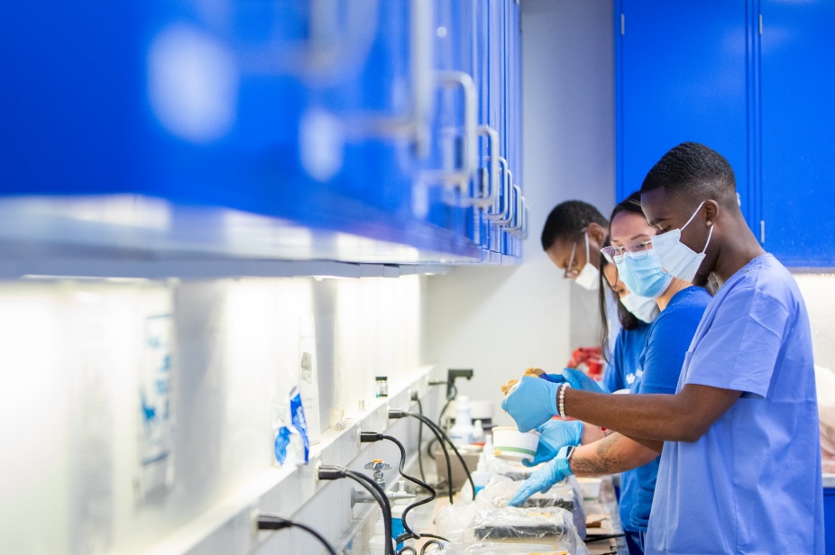 Students wearing blue work at a station in a lab.