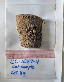 Zoom image: A sediment sample from the Camp Century core site. Credit: Drew Christ/University of Vermont 