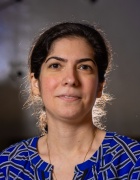 Zoom image: Negar Elhami-Khorasani 