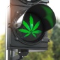 Concept of safe cannabis use: a green traffic light with a cannabis leaf displayed. 