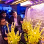 Jinjun Xiong stands with two stoods looking at plants in a greenhouse being monitored by AI. 